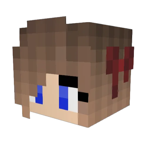 Valeno14 Minecraft avatar head, 3D render