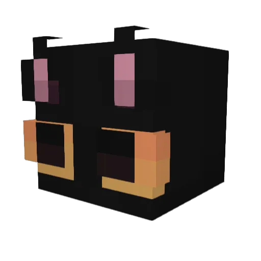 Valentin0112 Minecraft avatar head, 3D render