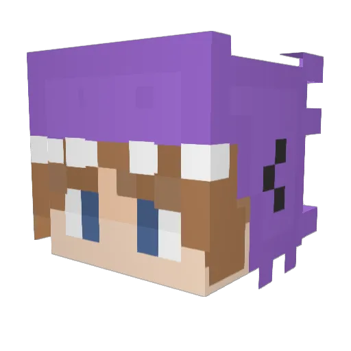 Valentin1520 Minecraft avatar head, 3D render