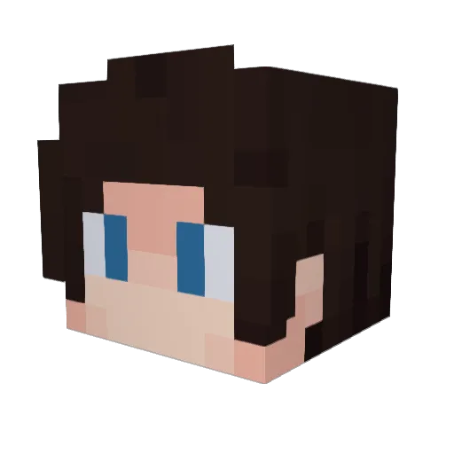Valentin21 Minecraft avatar head, 3D render