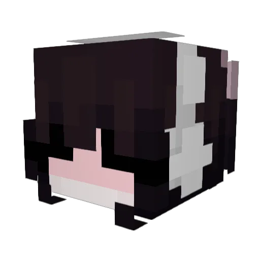Valentin589 Minecraft avatar head, 3D render
