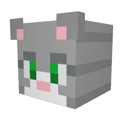 Valentinapazos Minecraft avatar head, 3D render