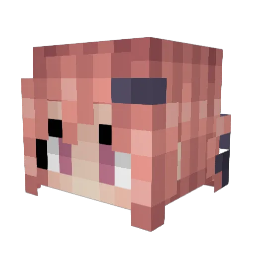 ValentineVxx Minecraft avatar head, 3D render