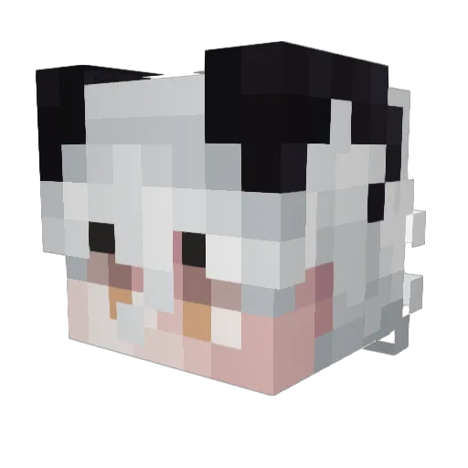 Valentine_Lols Minecraft avatar head, 3D render