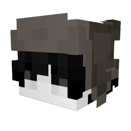 ValerELITE Minecraft avatar head, 3D render