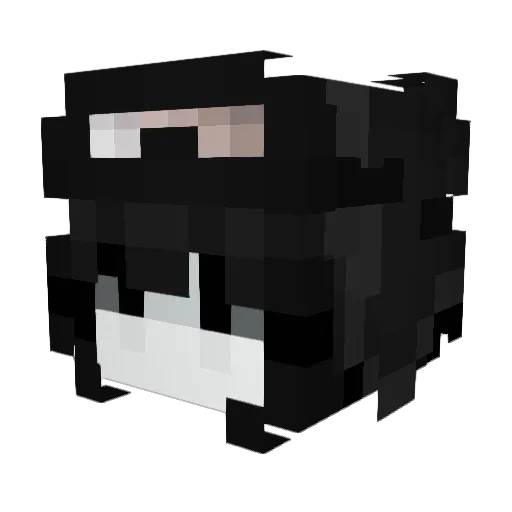 Valerchik315 Minecraft avatar head, 3D render