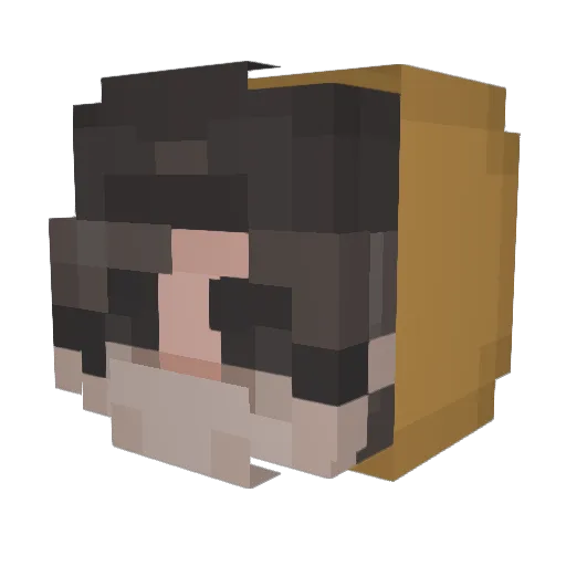 ValeriaOO_YT Minecraft avatar head, 3D render