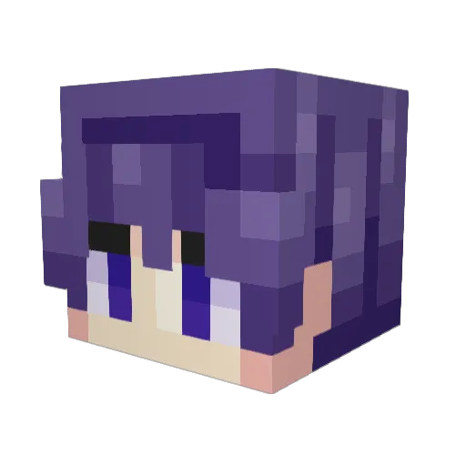 Valerian45 Minecraft avatar head, 3D render