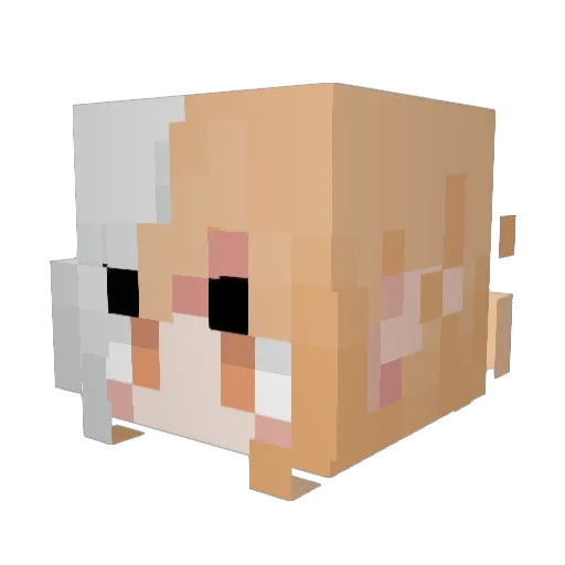 ValerieVulps Minecraft avatar head, 3D render