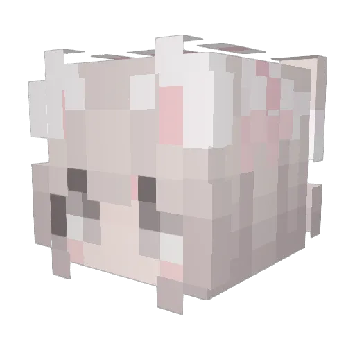 Valerie_51 Minecraft avatar head, 3D render