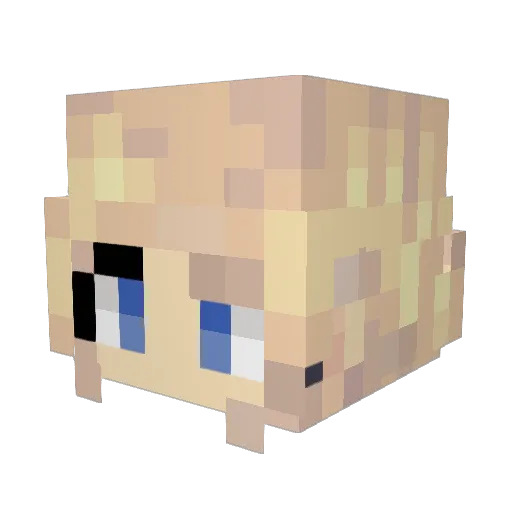 Valerius14 Minecraft avatar head, 3D render