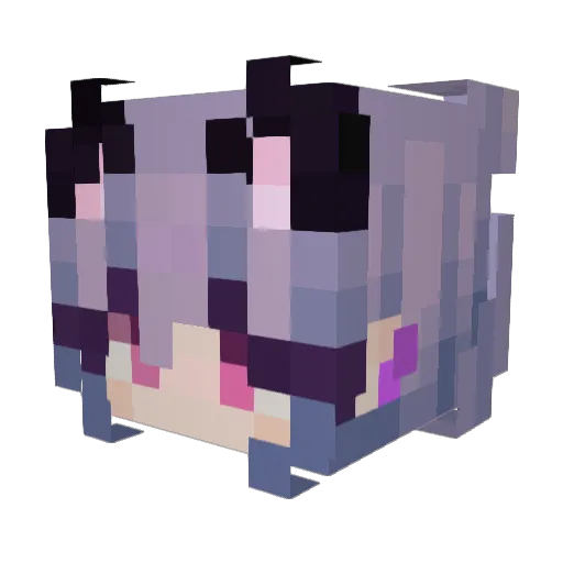 Valeron19 Minecraft avatar head, 3D render