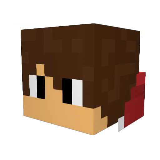 Valex8_ Minecraft avatar head, 3D render