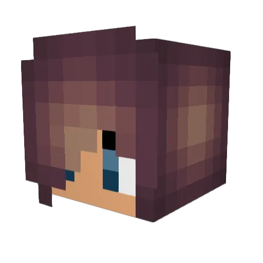 Valexiiia Minecraft avatar head, 3D render