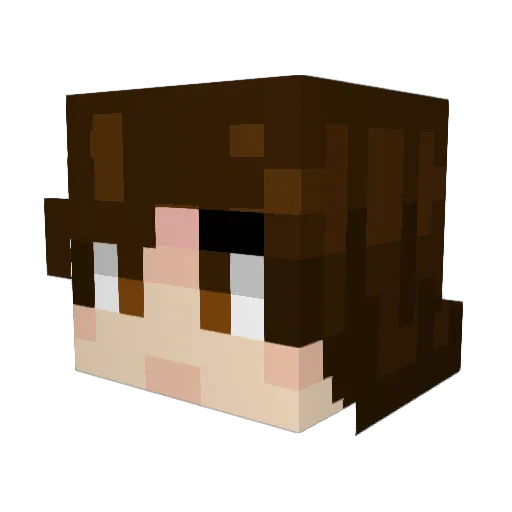 Valgile Minecraft avatar head, 3D render