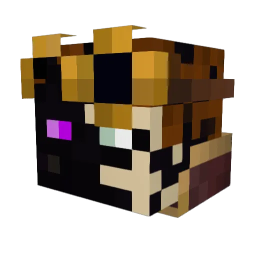 Valhalla_Turtle Minecraft avatar head, 3D render