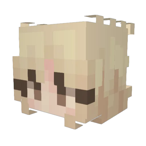 Vali2812 Minecraft avatar head, 3D render
