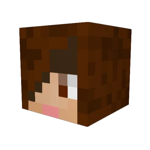 ValiantHero77 Minecraft avatar head, 3D render