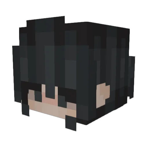 ValiantMaster01 Minecraft avatar head, 3D render
