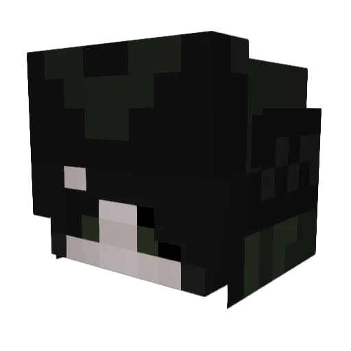 ValiantVine Minecraft avatar head, 3D render