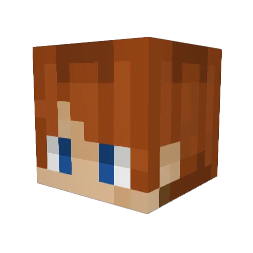 Valibaba_ Minecraft avatar head, 3D render