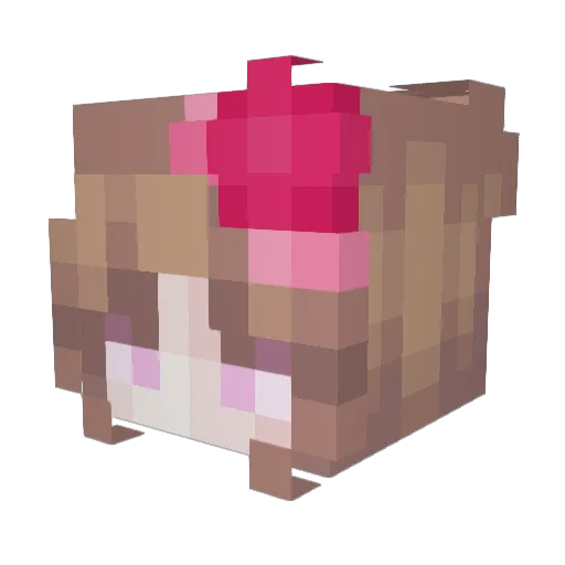 ValidPigeon7669 Minecraft avatar head, 3D render
