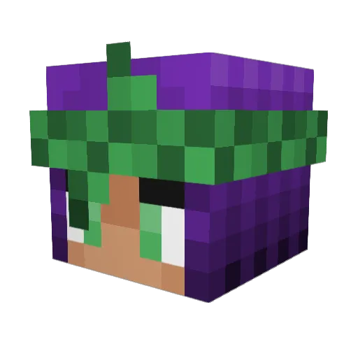 Valiitoo Minecraft avatar head, 3D render