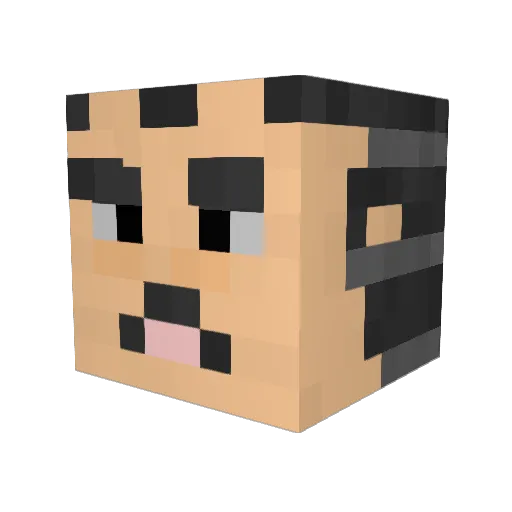 Valinorr Minecraft avatar head, 3D render