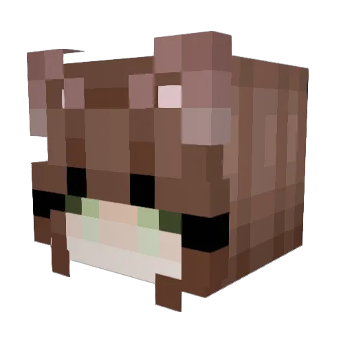 Valitaowo Minecraft avatar head, 3D render