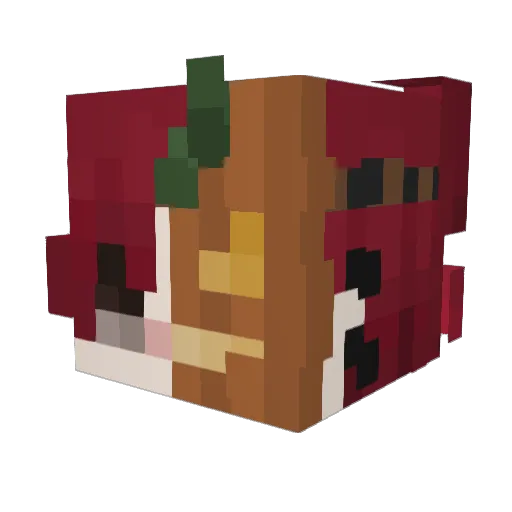 Valix_0 Minecraft avatar head, 3D render