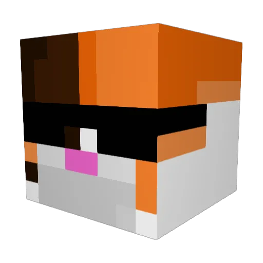 Valixz Minecraft avatar head, 3D render