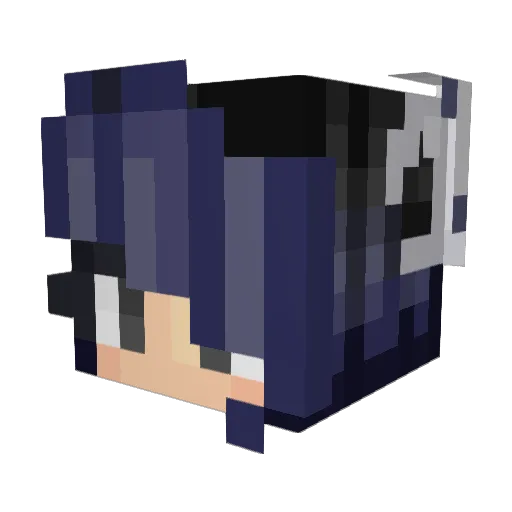 Valkaebi Minecraft avatar head, 3D render