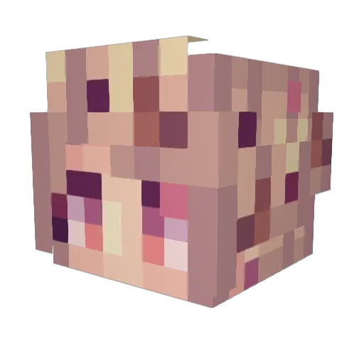 Valkayria Minecraft avatar head, 3D render