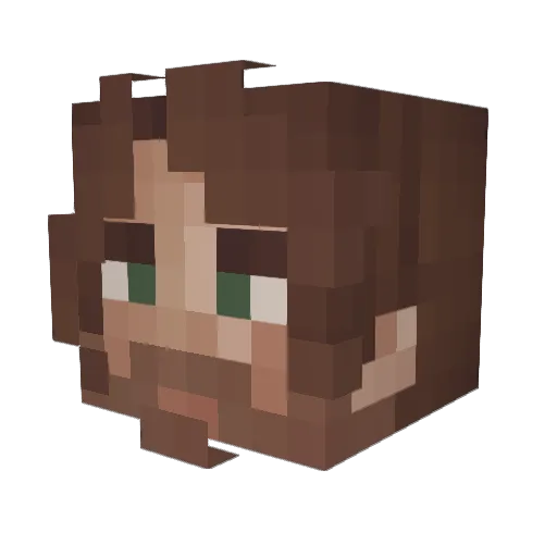 Valkeavihta Minecraft avatar head, 3D render