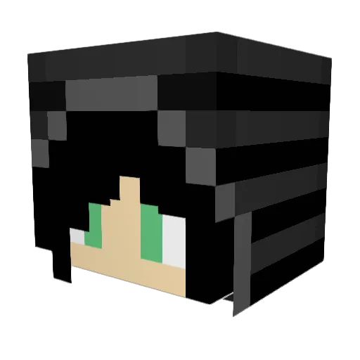 Valkin123 Minecraft avatar head, 3D render