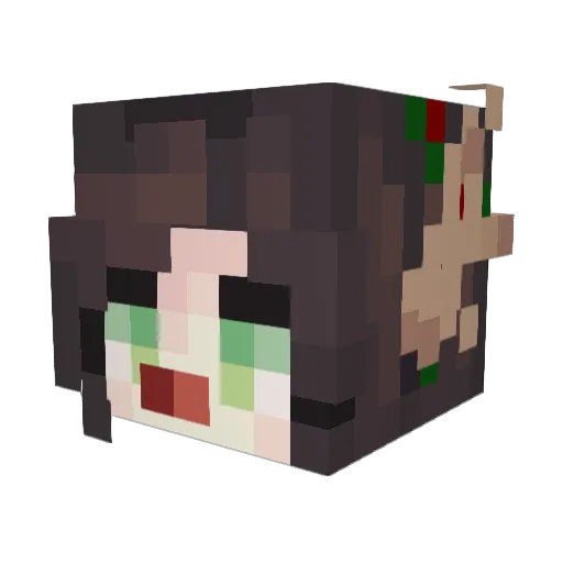 Valkyrie2b Minecraft avatar head, 3D render