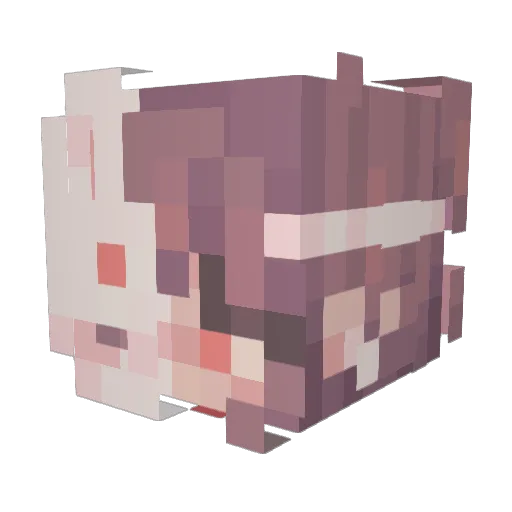 ValkyrieAubs Minecraft avatar head, 3D render