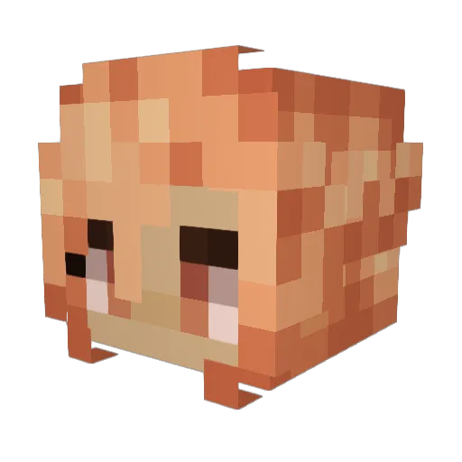 ValkyrieMir Minecraft avatar head, 3D render