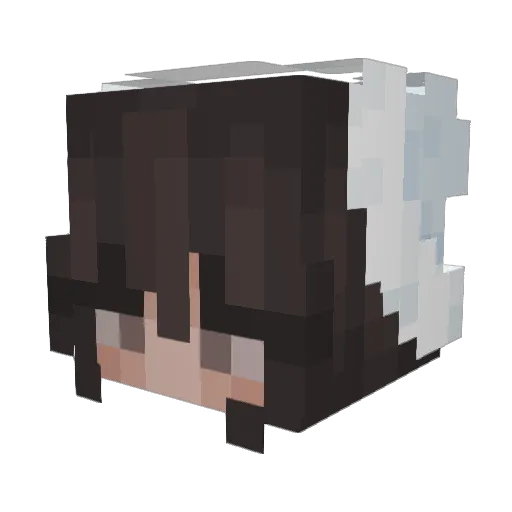 ValkyrieStar04 Minecraft avatar head, 3D render