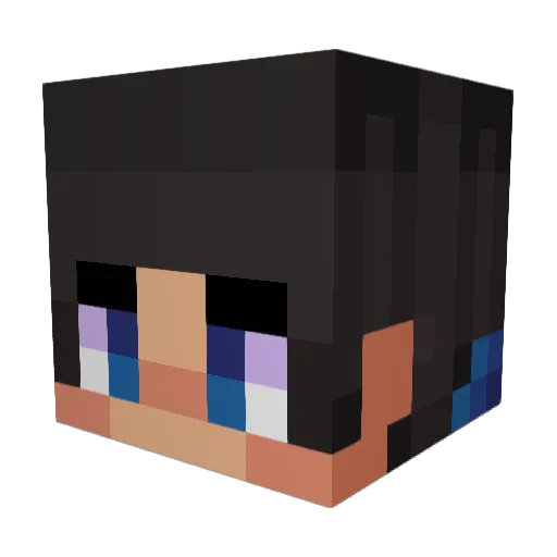 Valldo89 Minecraft avatar head, 3D render
