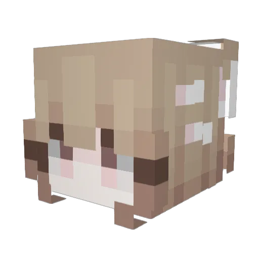 VallesT Minecraft avatar head, 3D render