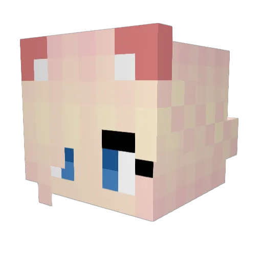 Valleseb Minecraft avatar head, 3D render