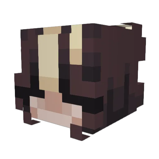 ValleyBlue Minecraft avatar head, 3D render