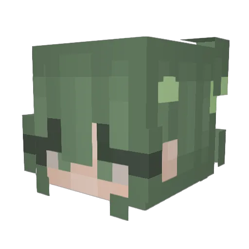ValleyVulpes Minecraft avatar head, 3D render