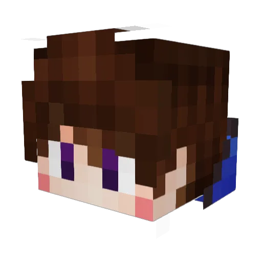Vallion Minecraft avatar head, 3D render