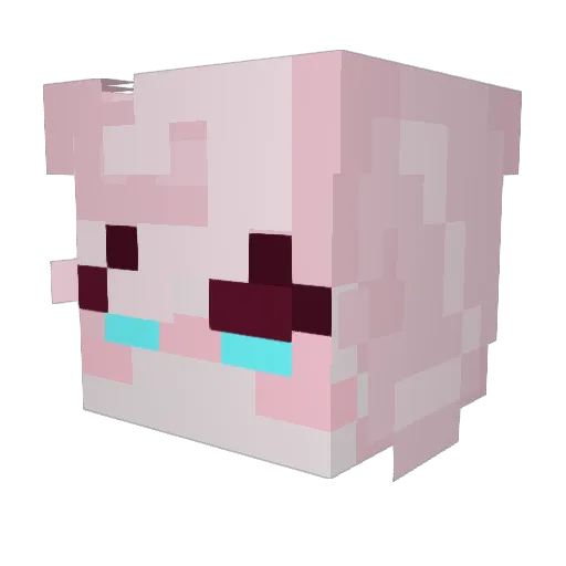Vallkary Minecraft avatar head, 3D render