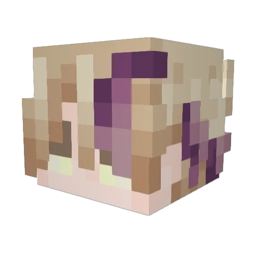 VallkoCH Minecraft avatar head, 3D render
