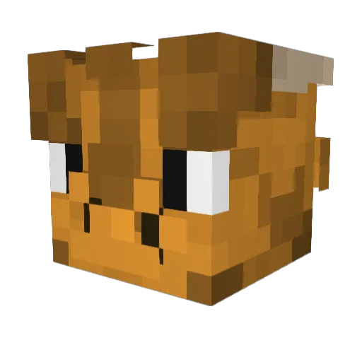 Vallon14 Minecraft avatar head, 3D render