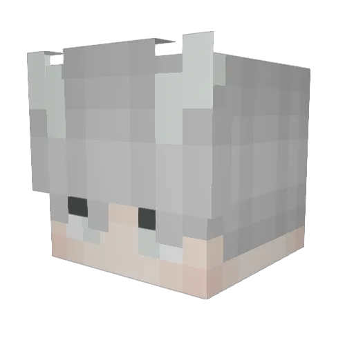 VallyOnFire Minecraft avatar head, 3D render