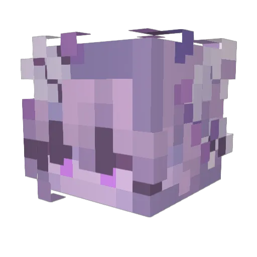 Vallypuff Minecraft avatar head, 3D render